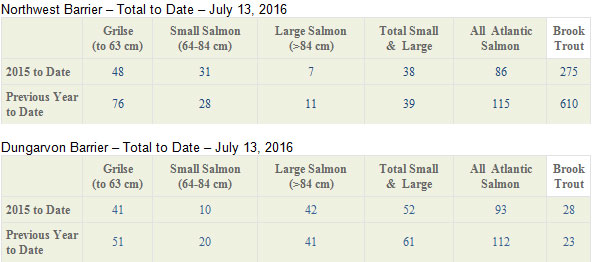 Miramichi Fishing Report for Thursday, July 14, 2016