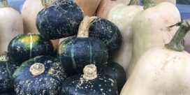 Some NB farmers thankful tough growing season is over