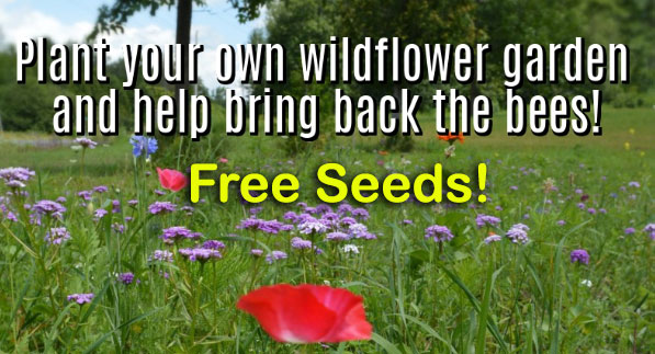 Get Your Free Seeds #BringBackTheBees
