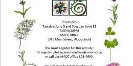MACC Members Par-Tea – June 5th and June 12th